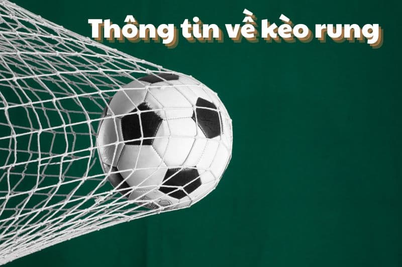 Những thông tin hữu ích về Kèo rung để thắng cược bóng đá